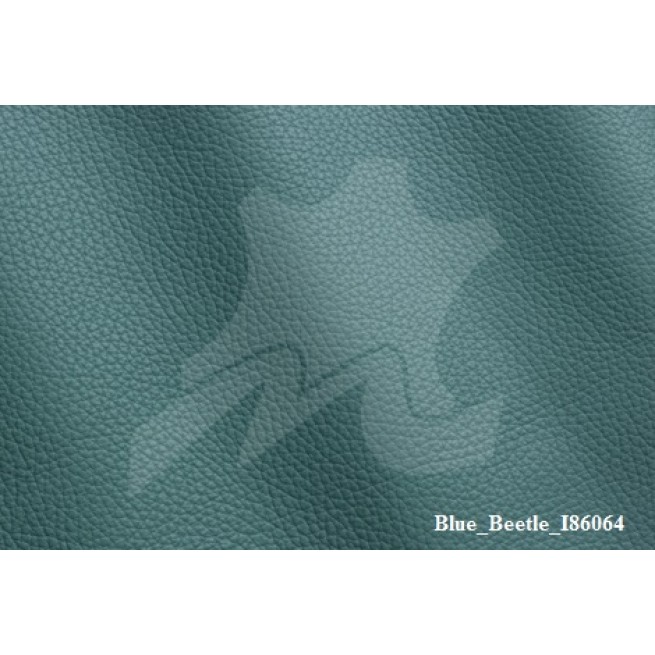 Aligo Group фото